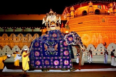 Culture & Discovery Tour